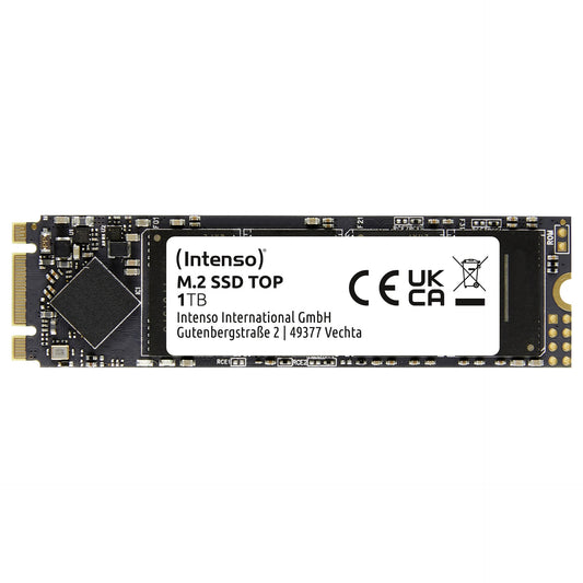 M.2 1TB Intenso Top Performance