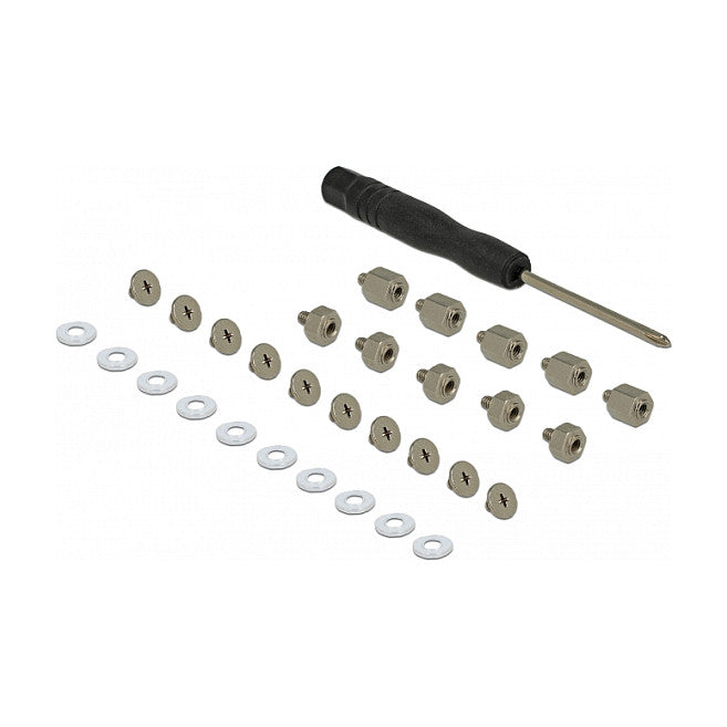 DeLock Befestigungsset 31-Teilig für M.2 SSD / Modul