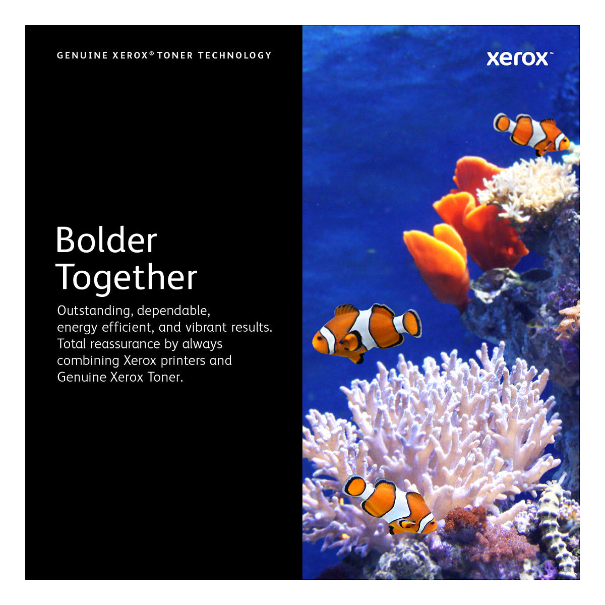 Xerox Toner 106R03691 Magenta