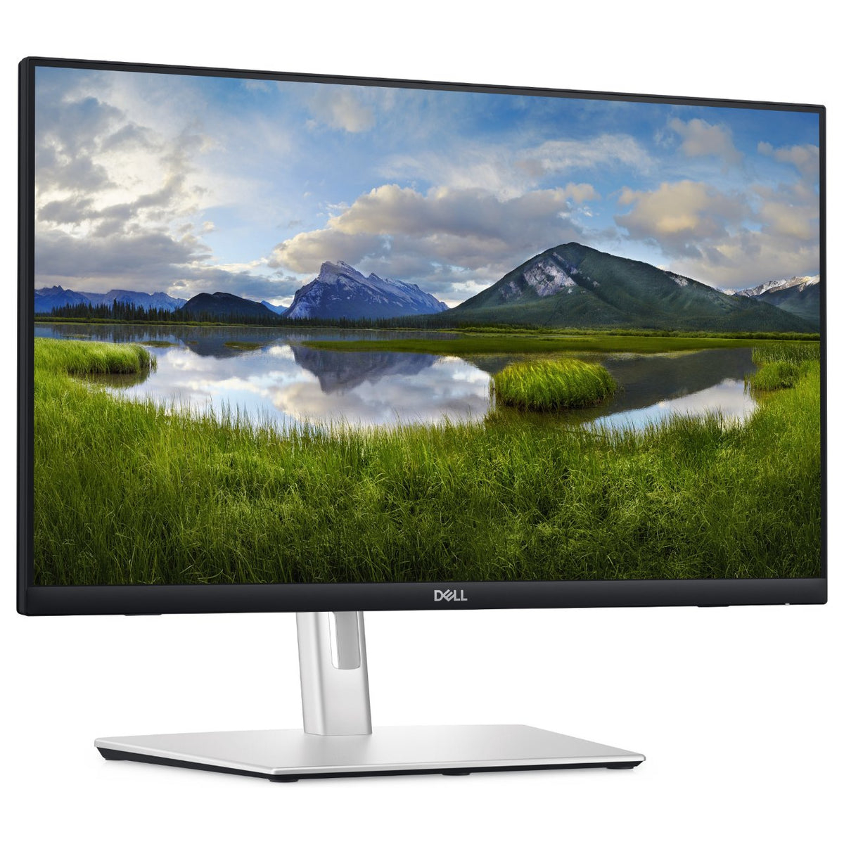 61cm/24" (1920x1080) Dell P2424HT FHD LED IPS Touch 60Hz 5ms HDMI DP LS USBC-Hub Pivot Silver