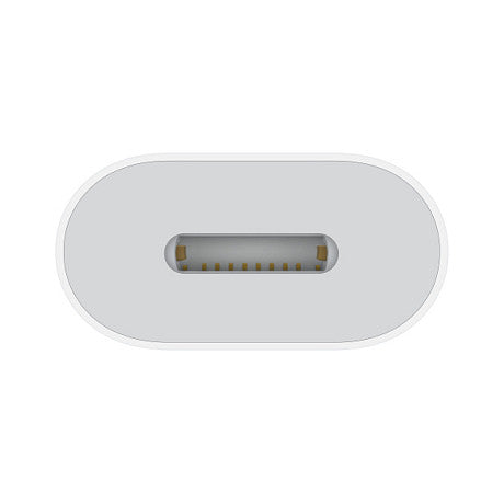 APPLE USB-C to Lightning Adapter