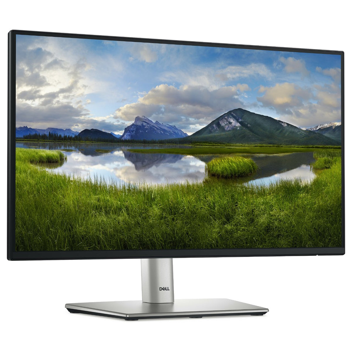 54,61cm/21,5" (1920x1080) Dell P2225H 16:9 FHD IPS 5ms 100Hz HDMI DP VGA USB-C Black/Silver