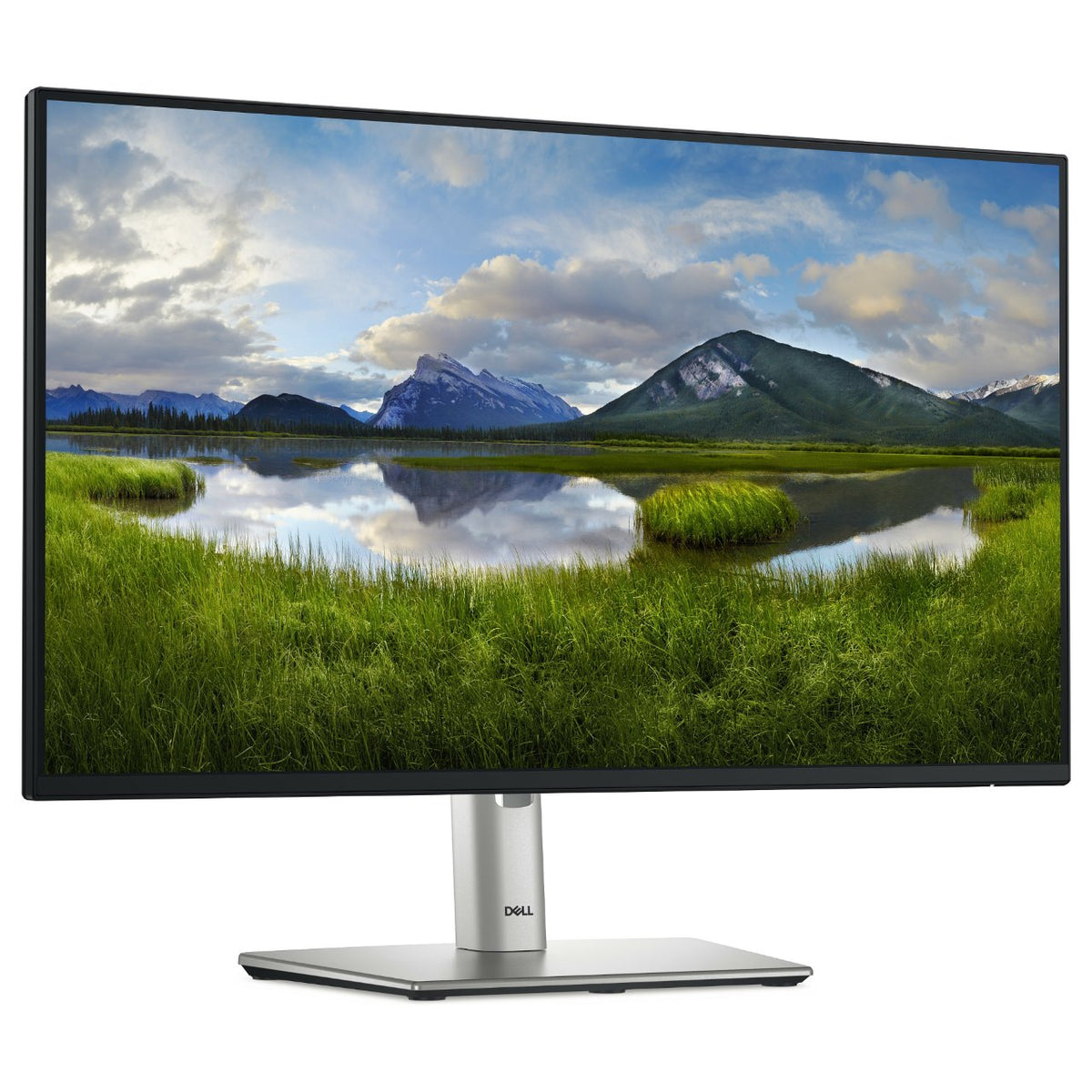 60,47cm/23,8" (1920x1080) Dell P2425H 16:9 FHD IPS 5ms 100Hz HDMI DP VGA USB-C Black/Silver