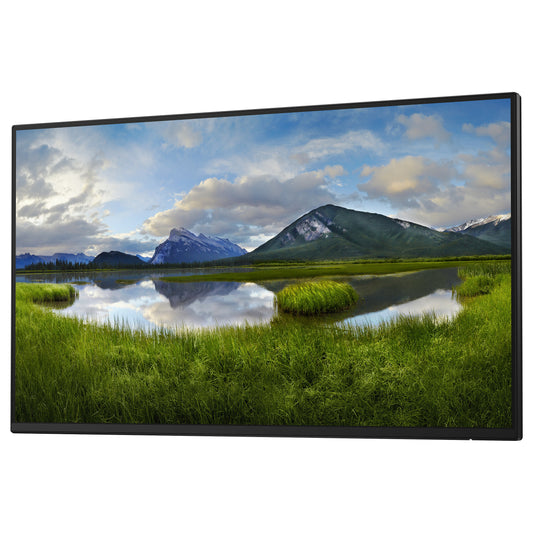 60.47cm/23.8" (1920x1080) Dell P2425H Without Stand 16:9 FHD IPS 5ms 100Hz HDMI DP VGA USB-C Black/Silver
