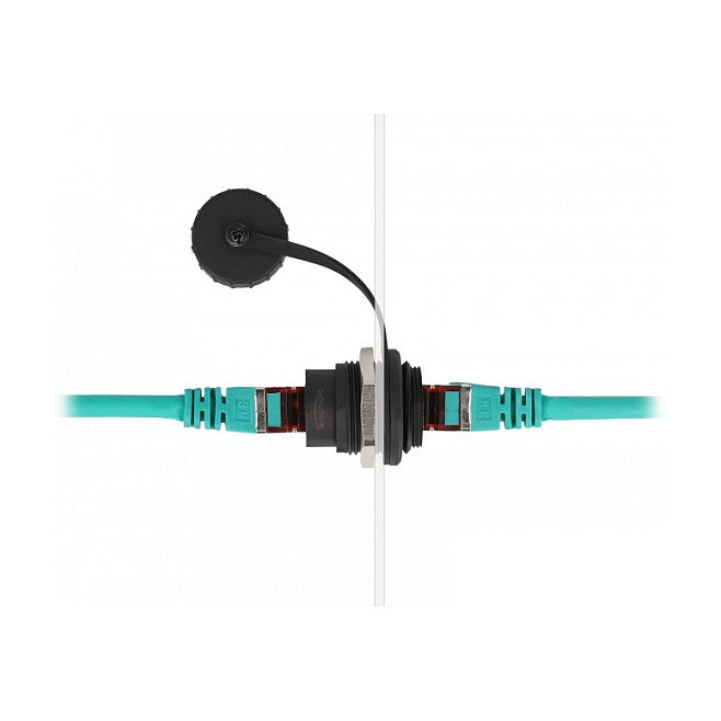 DeLock RJ45 Cat.6A Einbaubuchse mit Staubschutzkappe