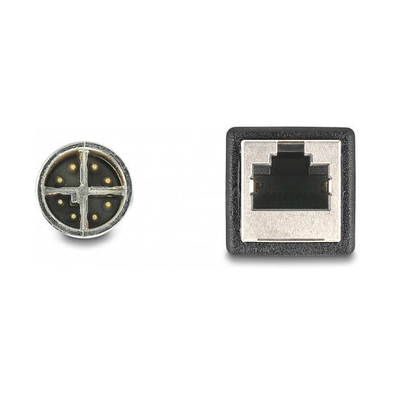 DeLock M12 Adapterkabel X-kodiert 8 Pin Stecker zu RJ45 Buchse 50 cm