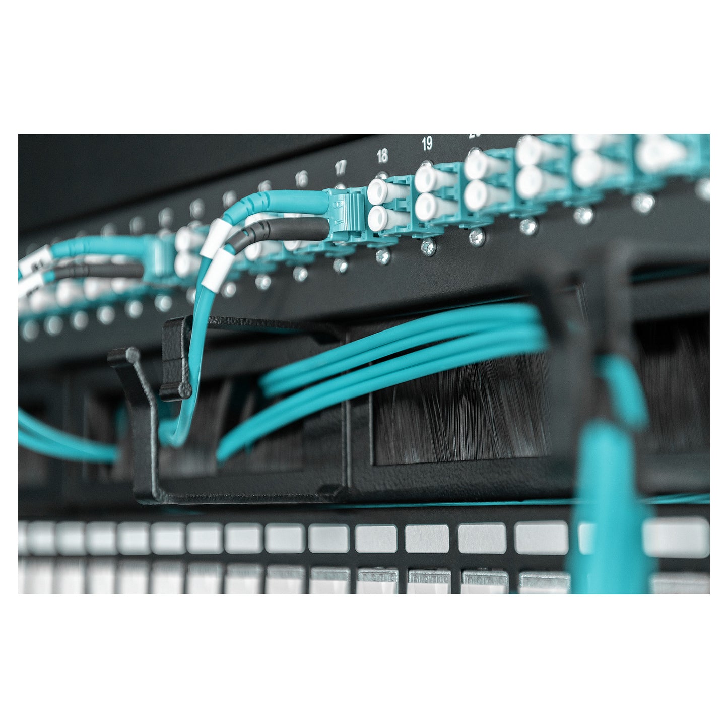 DIGITUS Rangierpanel 1HE 19" 4xBügel mit Bürstenleise schw.