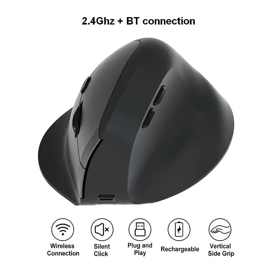 Equip Ergonomische Maus DM 2.4GHz+BT 6Button Rechts schwarz
