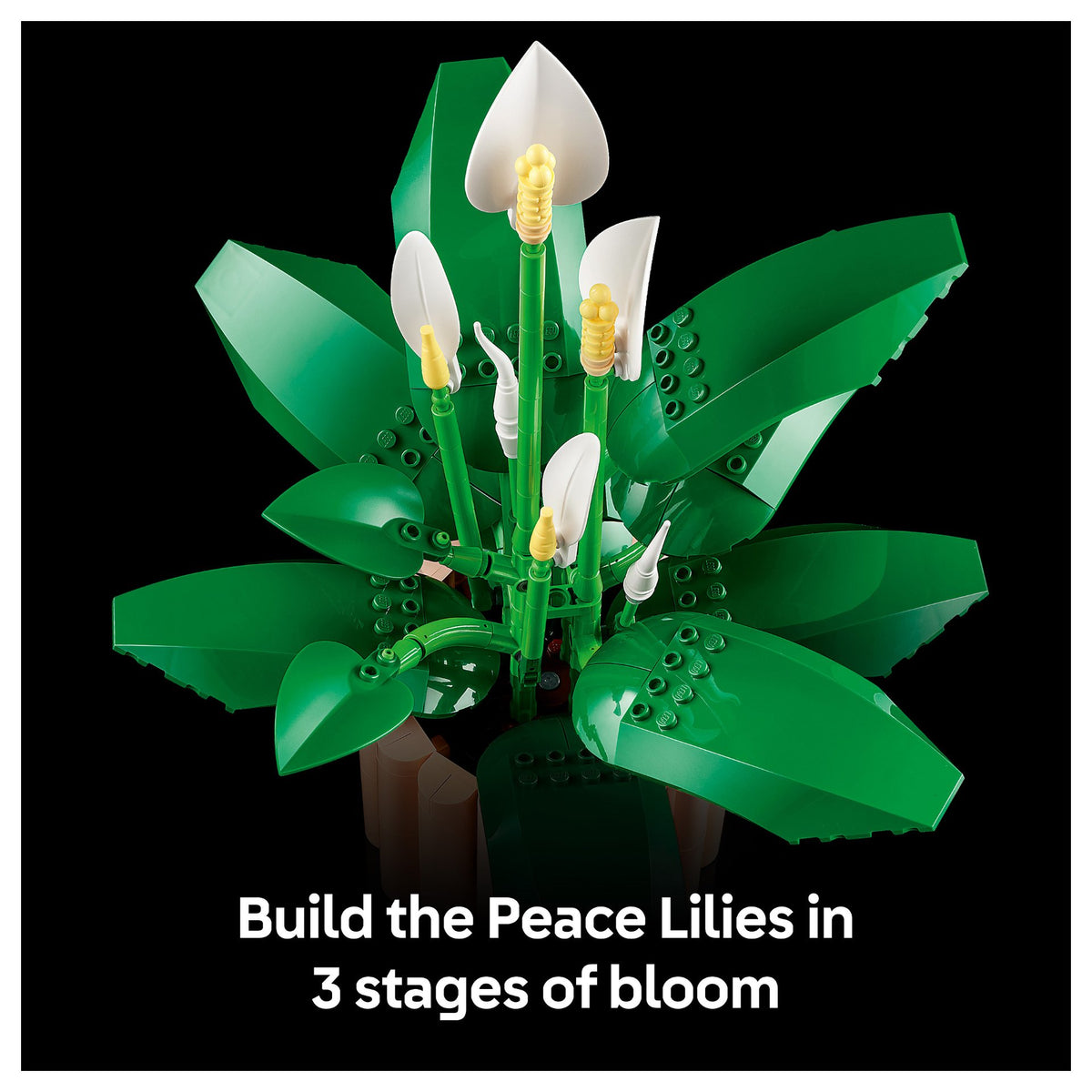 LEGO 11504 Botanicals Friedenslilie