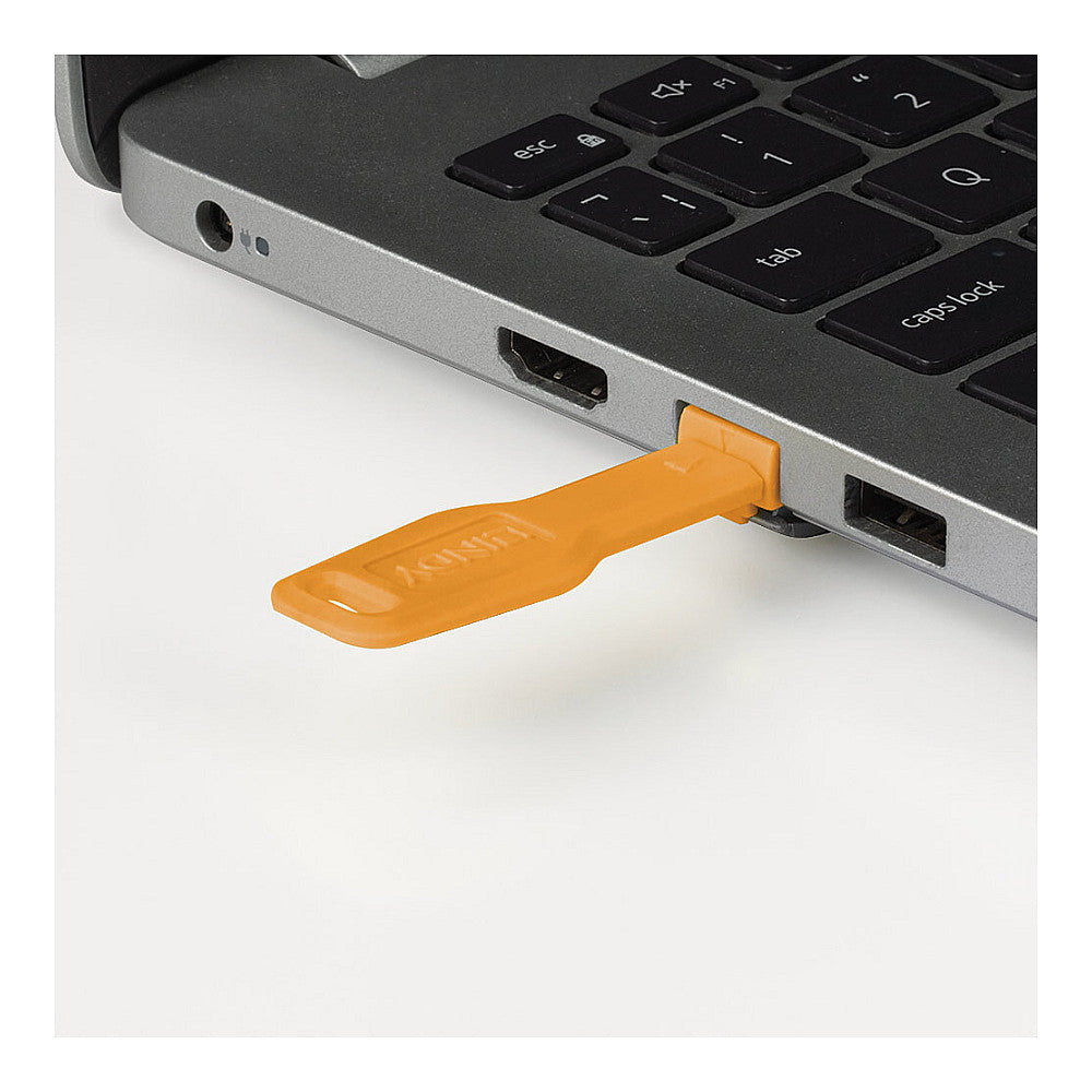 LINDY RJ45 Port Schlösser Orange, 10 Stck + 1 Schlüssel