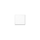 Jung A590BFWW Wippe f. Schalter/Taster -