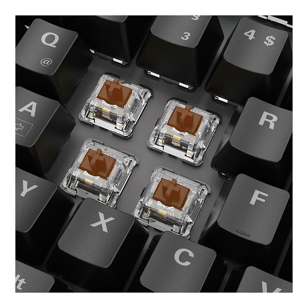 Sharkoon Gaming Tastatur Skiller SGK20 schwarz-braun DE