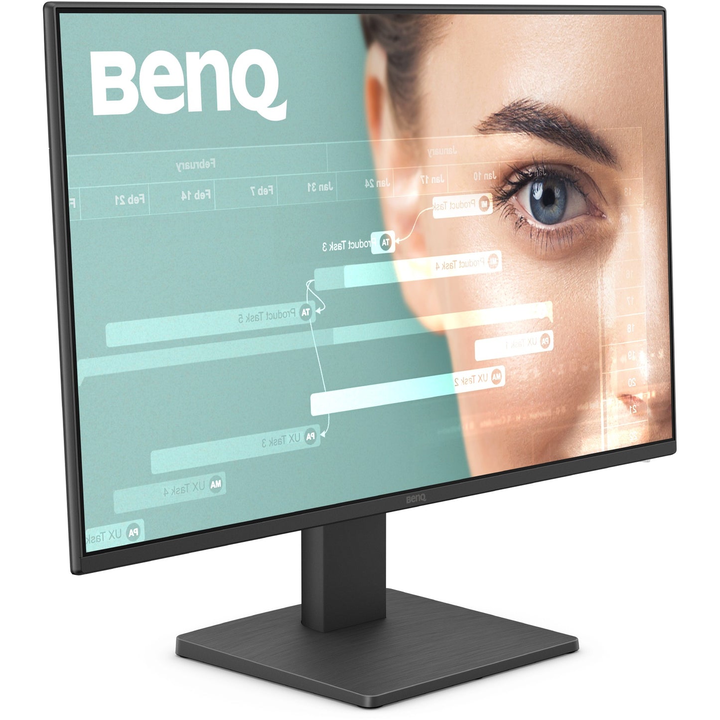 BenQ GW2491