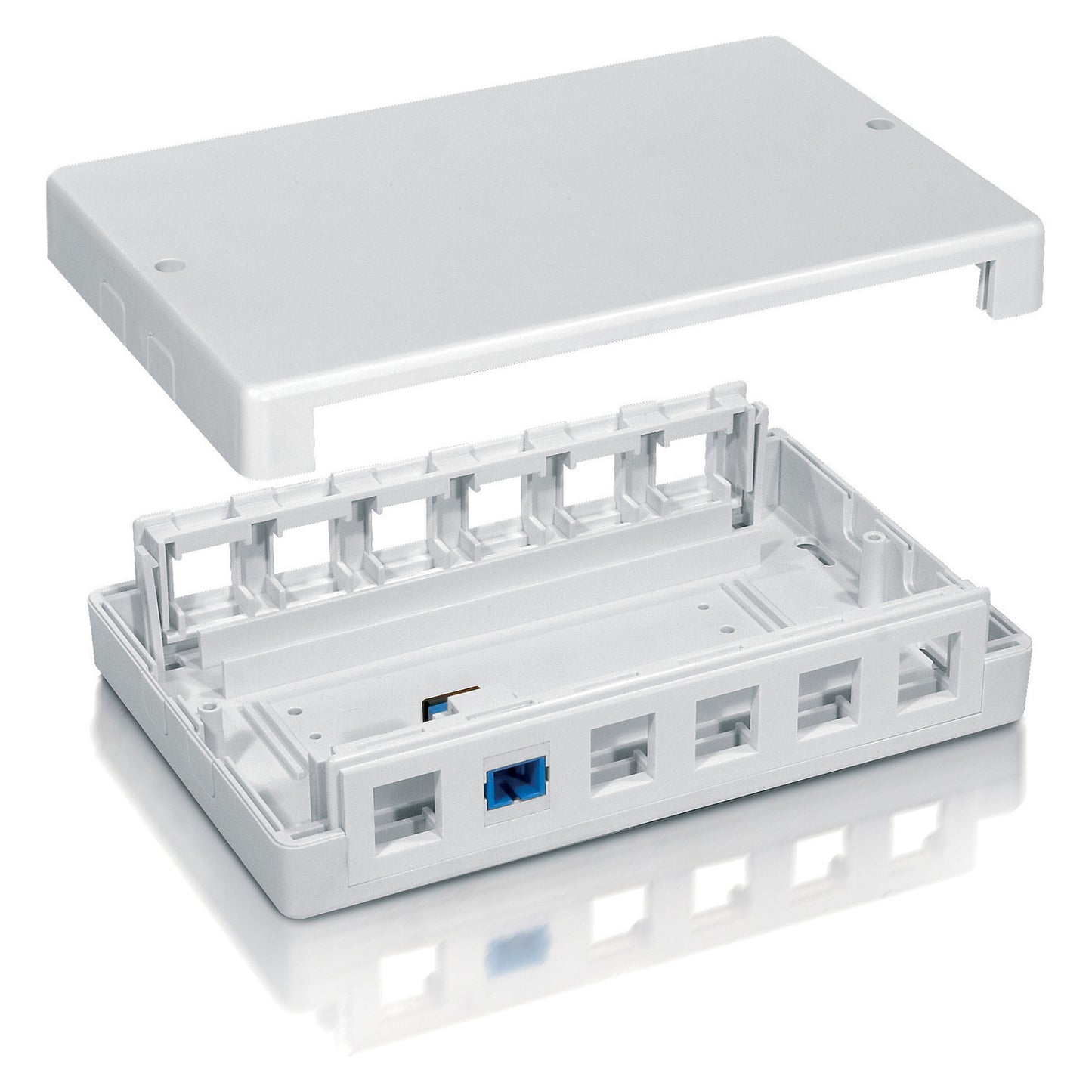 Equip Aufputzdose 12x Keystone Jack weiß