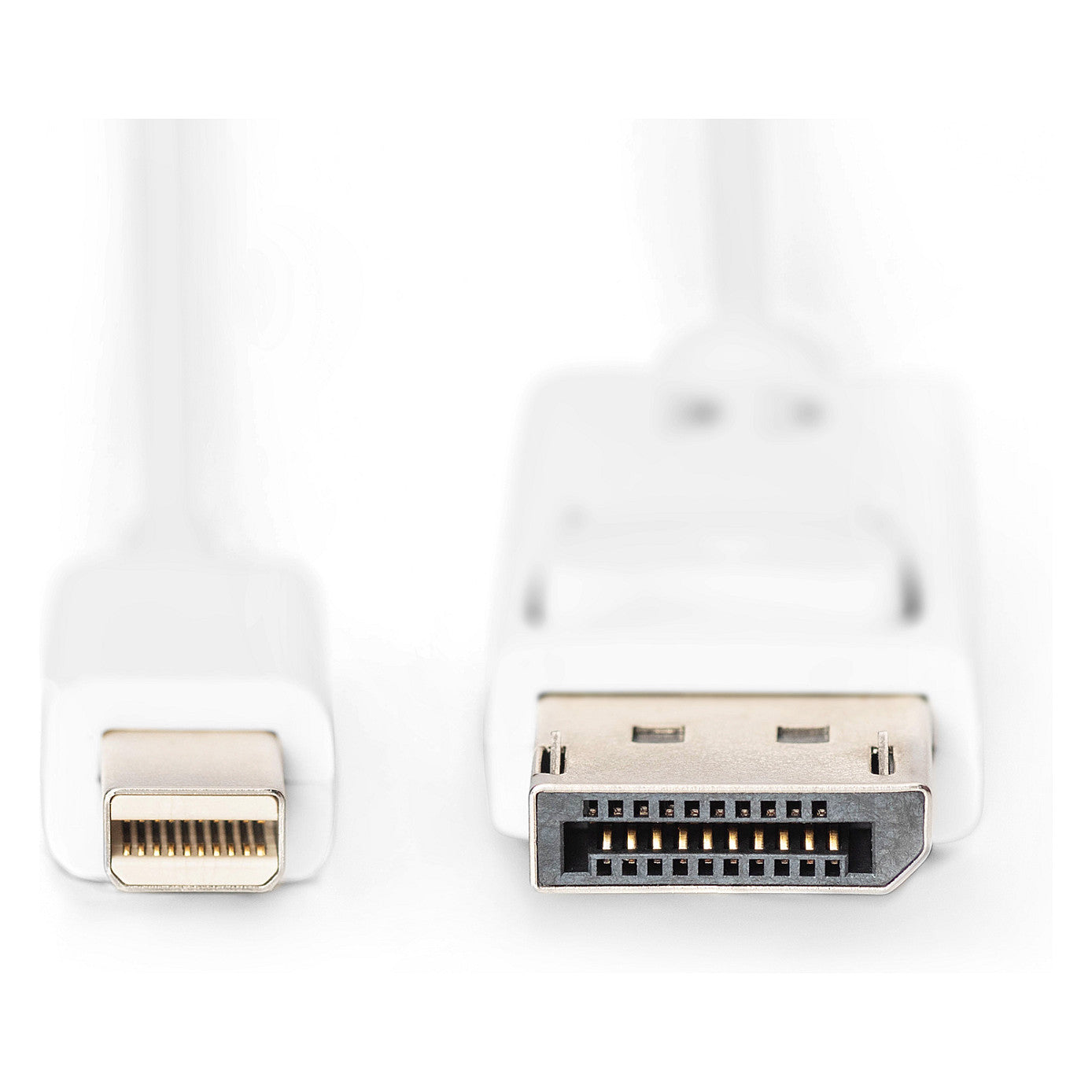 DIGITUS DisplayPortKabel miniDP -> DPort St/St 2m 1.1a weiß Polybeutel