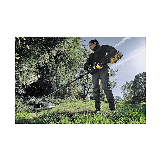 DEWALT Flexvolt Akku-Motorantrieb. 54 Volt. Basisv.