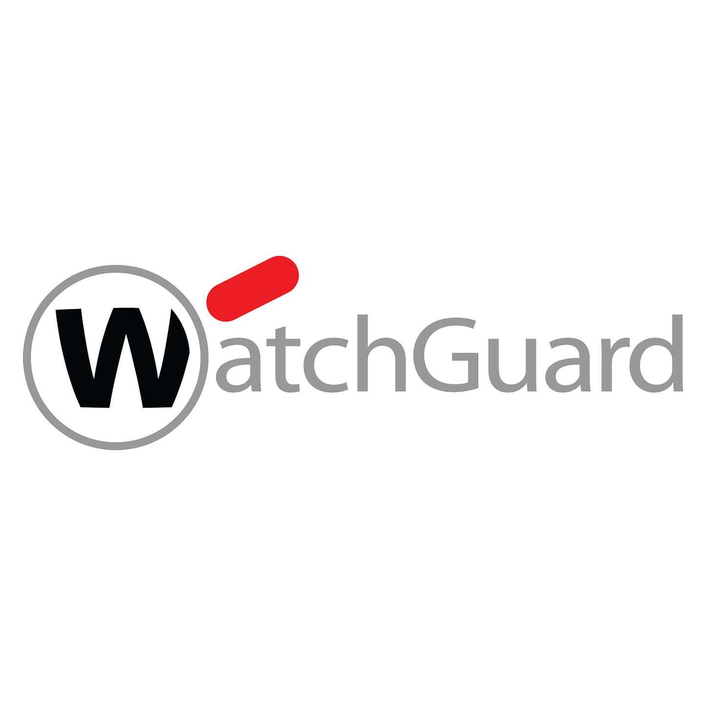 WatchGuard Basic Sec. Suite Ren./Upg. 1-y f. FireboxV Large