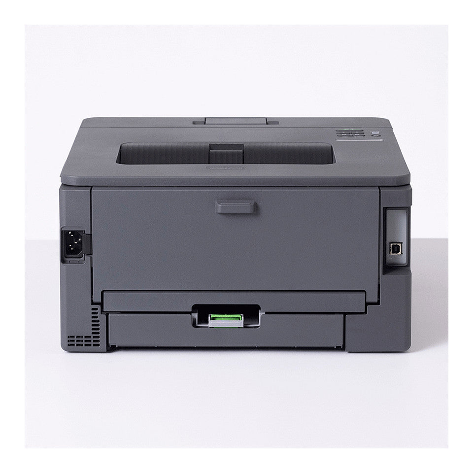 Brother HL-L2400DWE sw-Laser Duplex