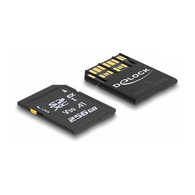 CARD DELOCK Express Speicherkarte 256 GB