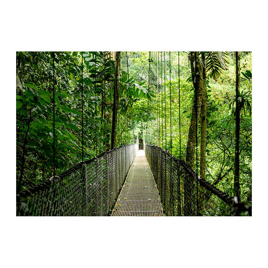 HP EliteBook 6 G1i CU5 225U/16GB/512SSD/W11Pro SmartBuy 1J Gar (DE)