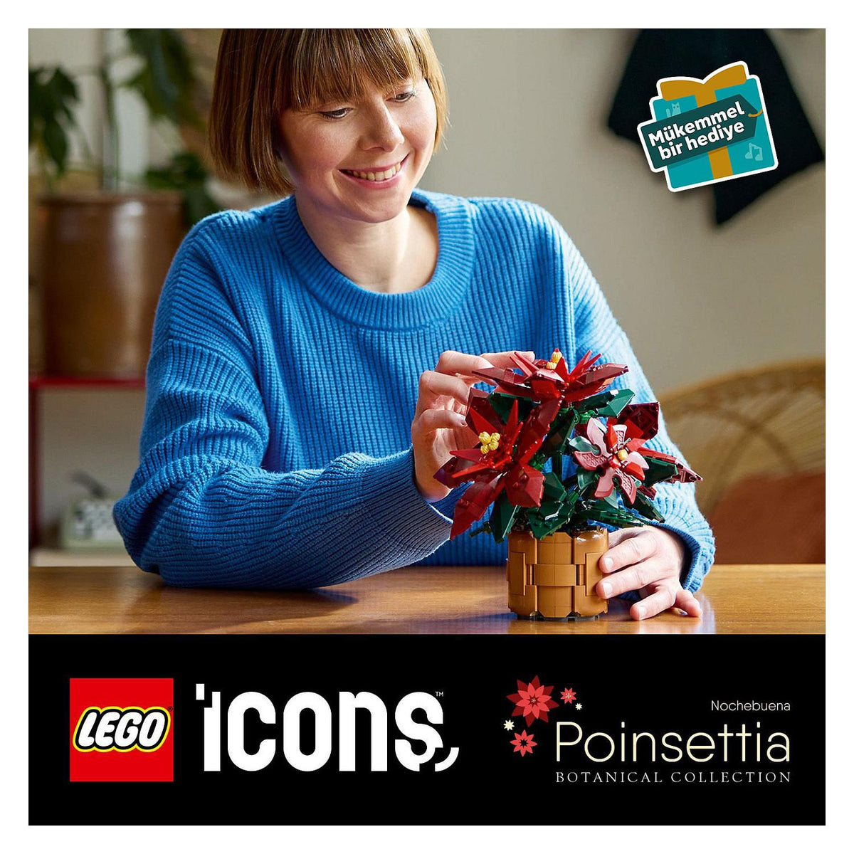 LEGO 10370 Icons Weihnachtsstern