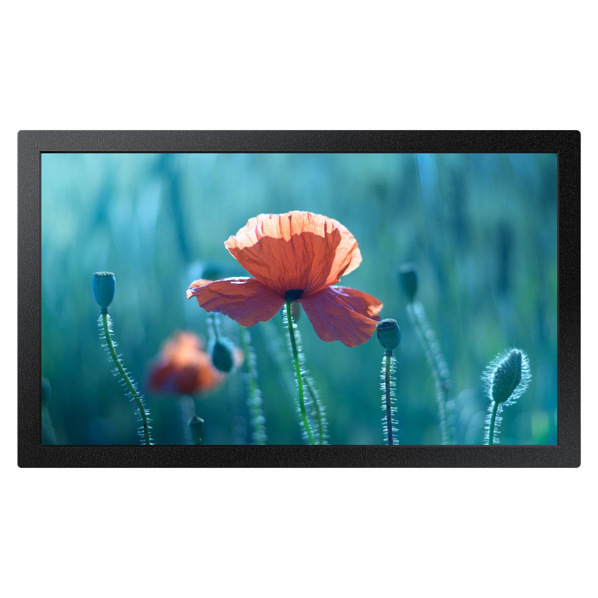 Samsung Smart Signage QB13C 33,02cm(13")