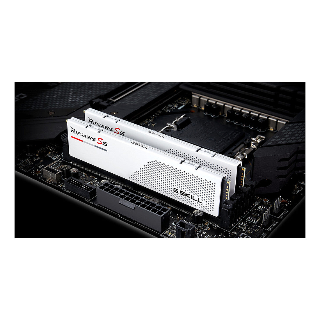 64GB PC 5600 CL36 G.Skill KIT (2x32GB) 64-RS5W Ripjaws