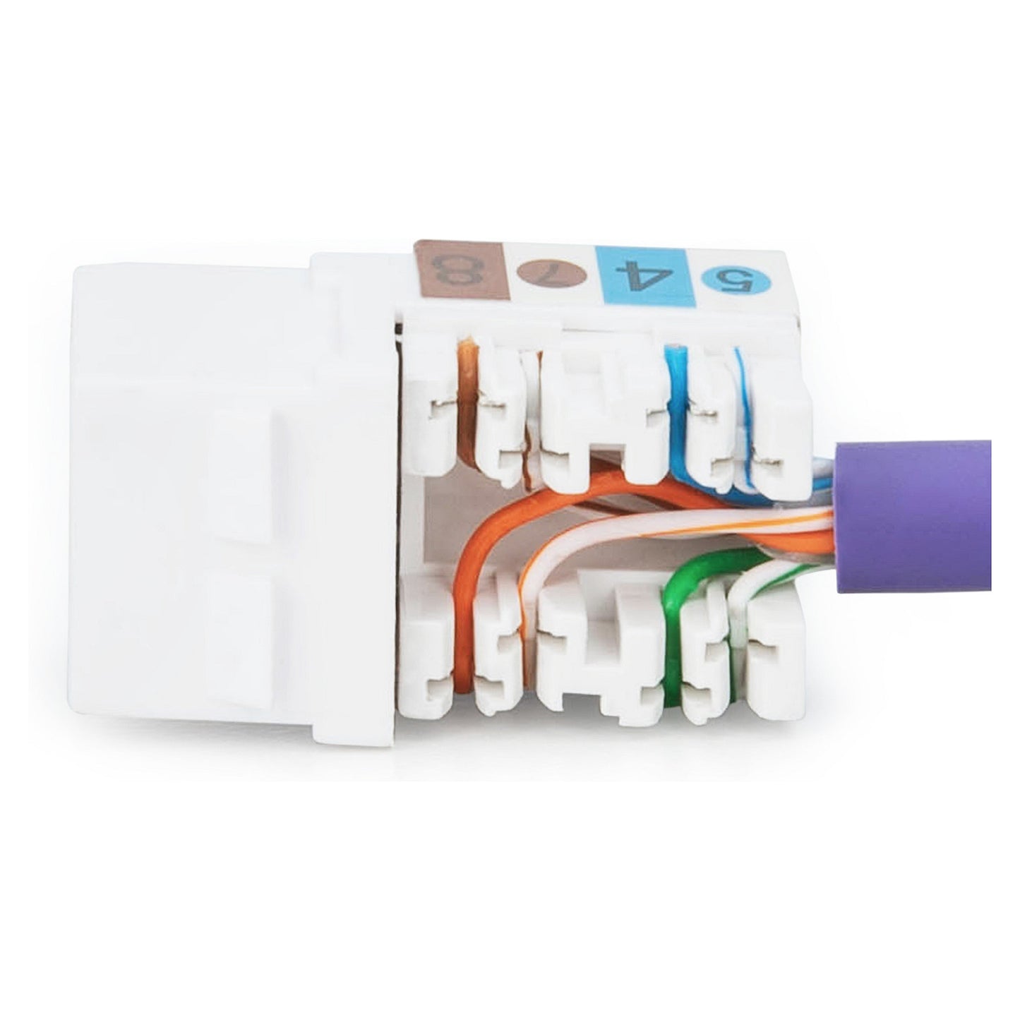 Jack DIGITUS Cat6. RJ45 -> LSA