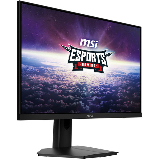 MSI Monitor G244F E2 (G244F E2)