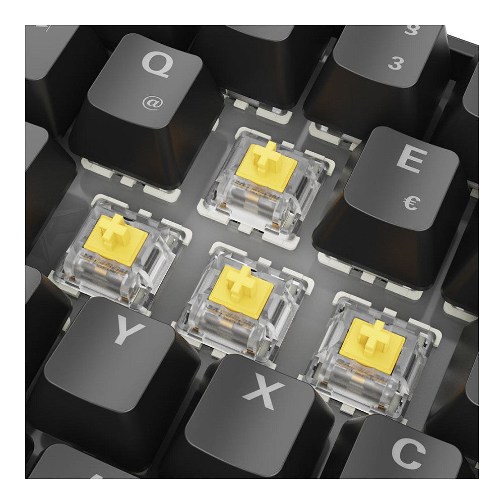 Sharkoon Gaming Tastatur Skiller SGK50S4 Gen2 schwarz-gelb D