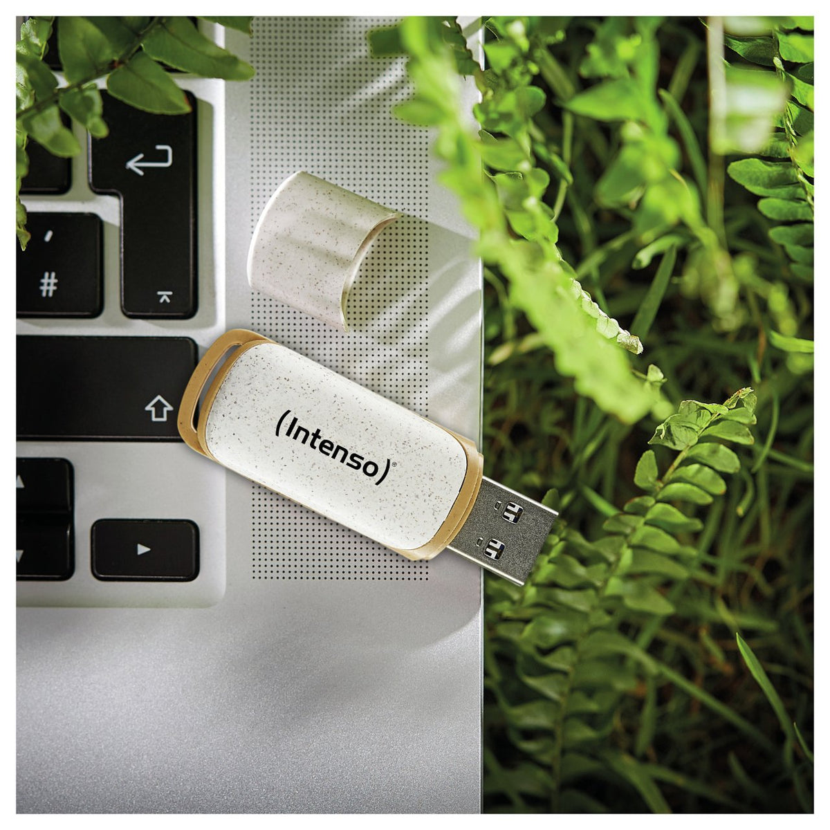 STICK Intenso Green Line 128 GB (beige/braun, USB-A 3.2 Gen 1)