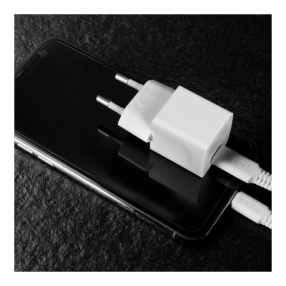 LINDY USB Typ C PD Charger 20W
