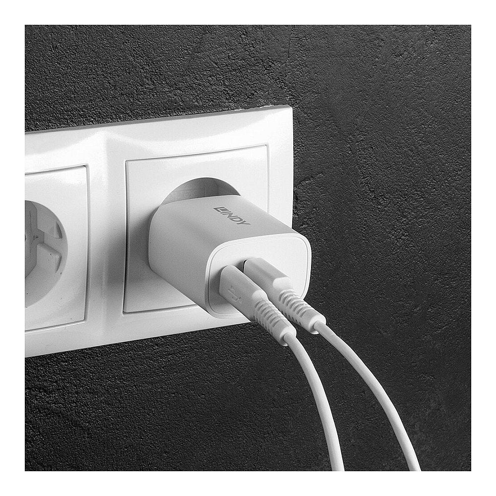 LINDY USB Typ A & C Charger 20W, weiß
