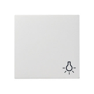 GIRA 028503 Wippe Licht reinweiß System 55