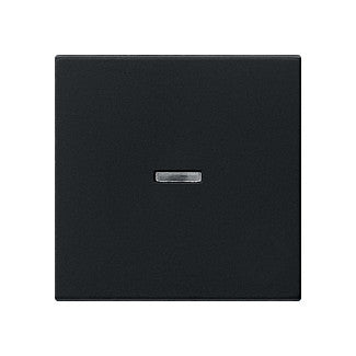 GIRA 0290005 Wippe Kontrollf. System 55 Schwarz
