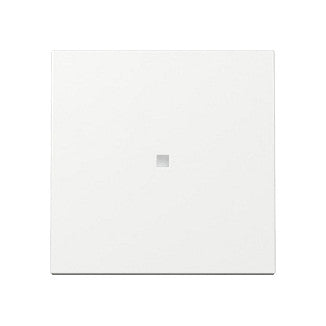 GIRA 329003 Wippe Kontrollf. System 55 Reinweiß
