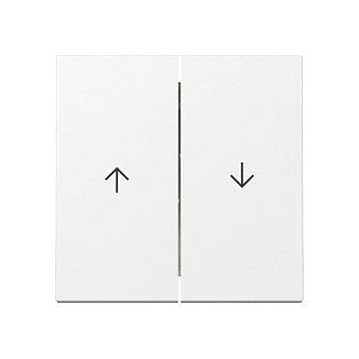 GIRA 329403 Wippe 2f Pfeil System 55 Reinweiß