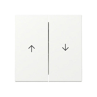 GIRA 329427 Wippe 2f Pfeil System 55 Reinweiß m