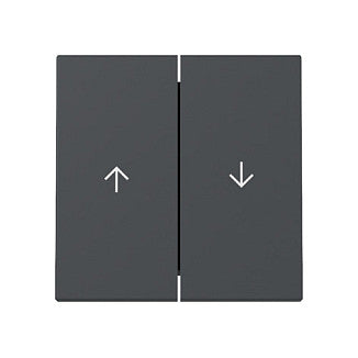 GIRA 329428 Wippe 2f Pfeil System 55 Anthrazit
