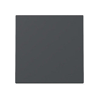 GIRA 329628 Wippe System 55 Anthrazit