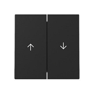 GIRA 3294005 Wippe 2f Pfeil System 55 Schwarz m