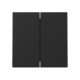 GIRA 3295005 Wippe 2f System 55 Schwarz m