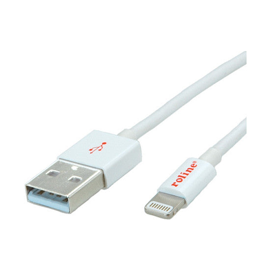 ROLINE 8PIN/USB LADE-/SYNCHROKABEL