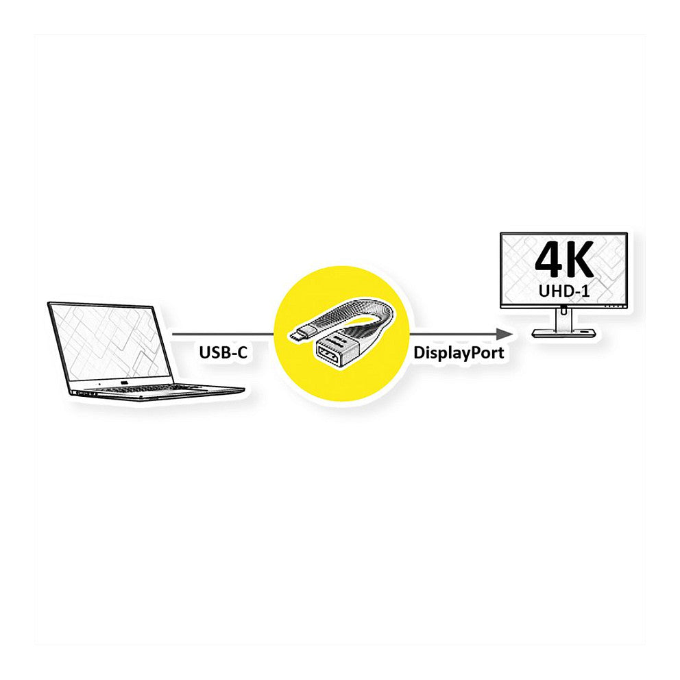 ROLINE DISPLAY ADAPTER.FLEX..TYPC-DP