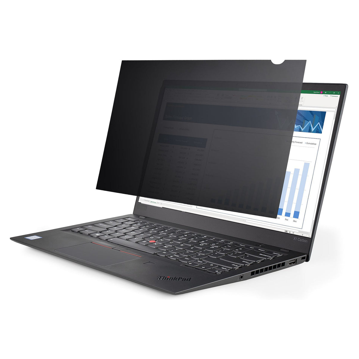 StarTech 15.6 LAPTOP PRIVACY FILTER