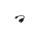 Lenovo Mini-Displayport auf Displayport Adapter