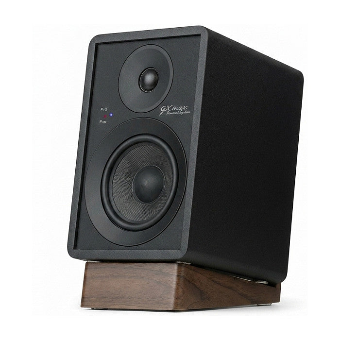 Onkyo GX30-ARC Powered Monitors schwarz