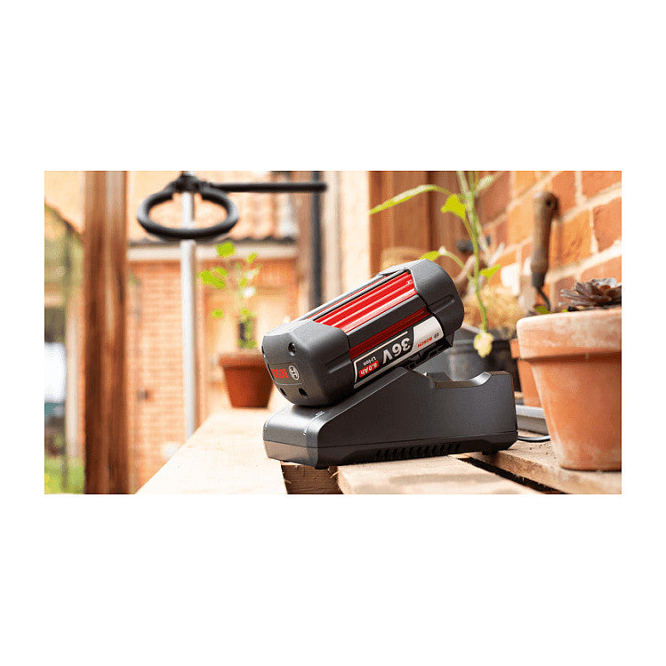 Powertools Starter-Set 36V (GBA 36V 6.0Ah + AL 36V-20) (schwarz, 36V POWER FOR ALL, Akku + Ladegert)