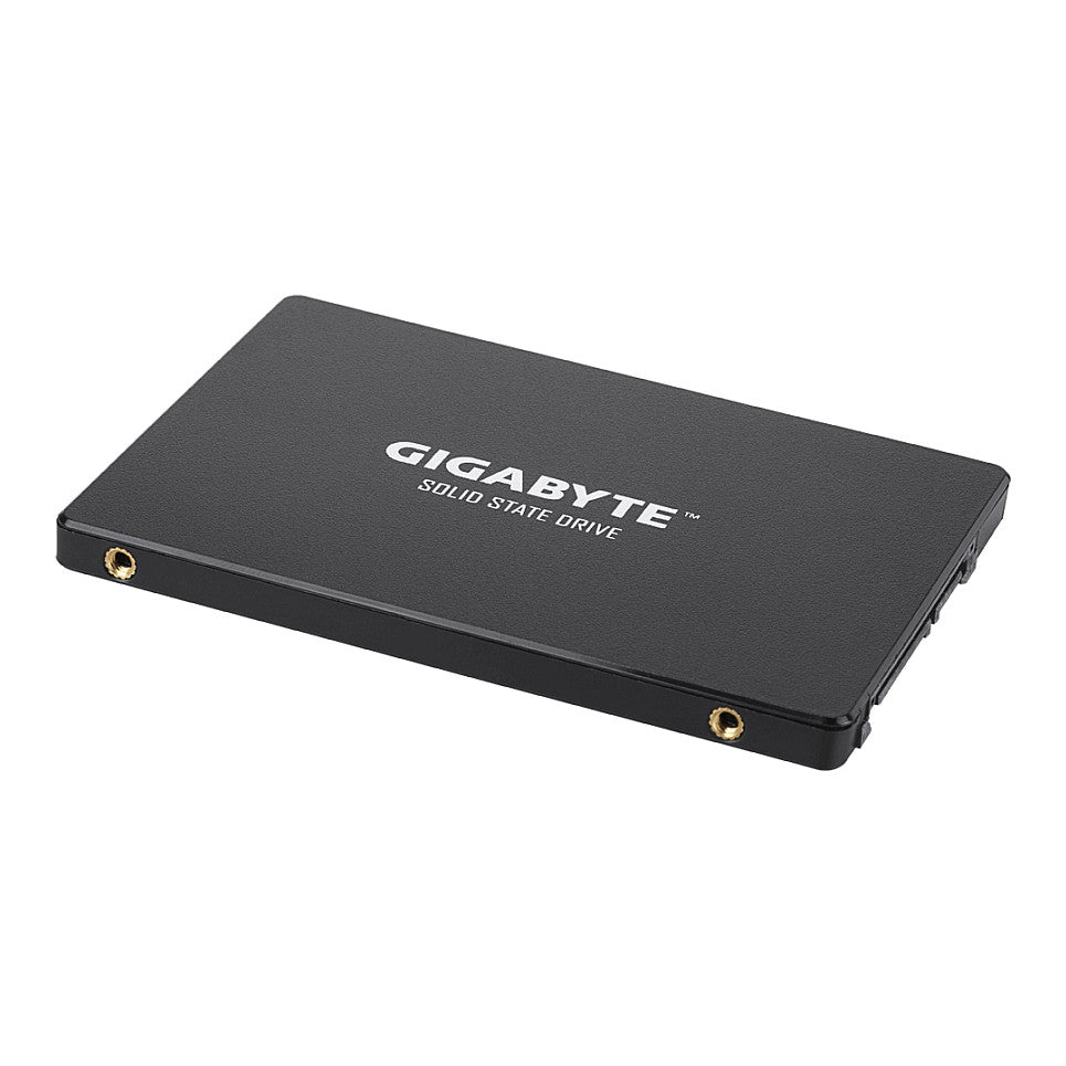 GIGABYTE 256GB 6,35cm 2,5Zoll SSD SATA3
