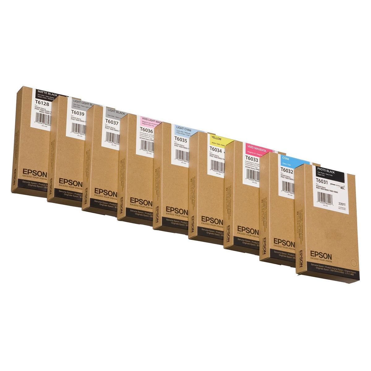 Epson C13T603900 light black